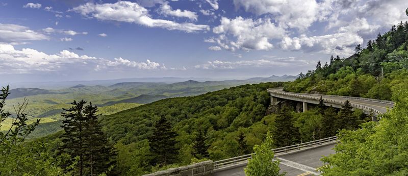 Western North Carolina (Appalachian Foothills)