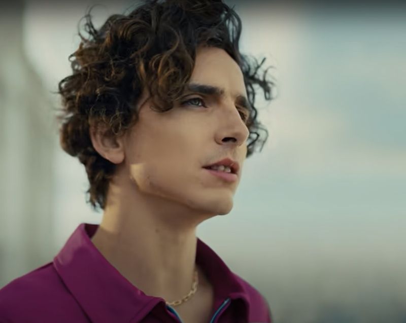 Timothée Chalamet
