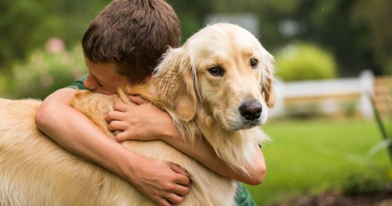 Unconditional Love Provides Emotional Security and Confidence