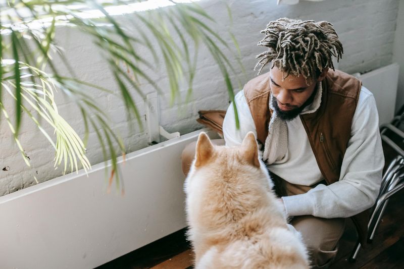 Being Good With Animals