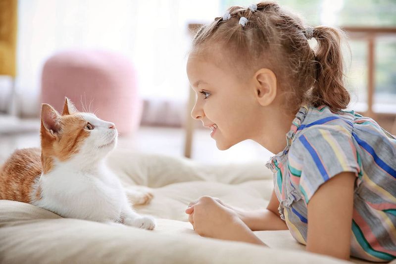 Emotional Intelligence Grows Through Animal Companionship
