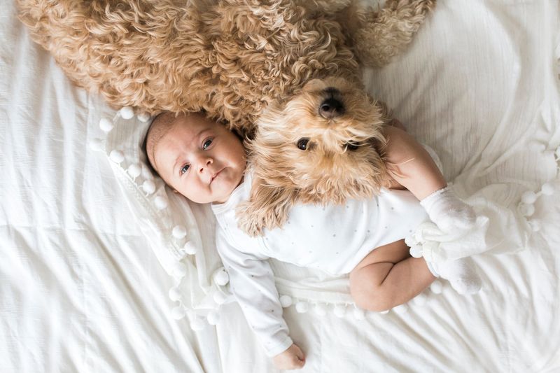 Immune System Benefits Come From Early Pet Exposure