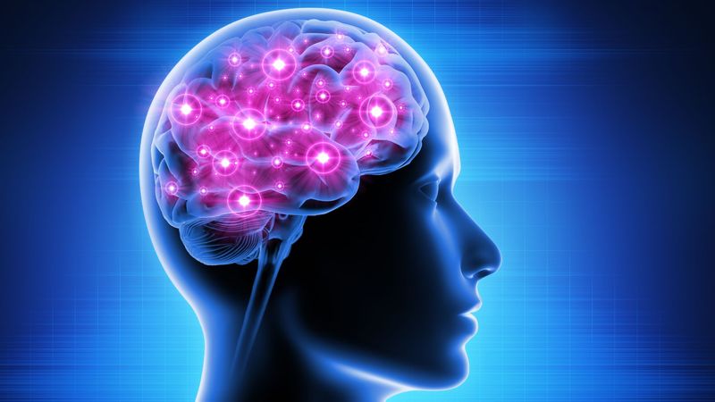 You only use 10% of your brain.