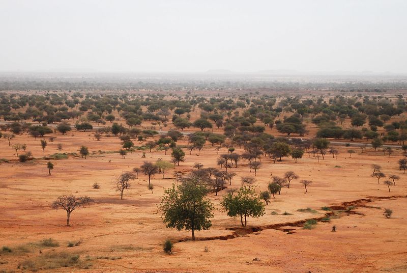 Sahel Region, North Africa