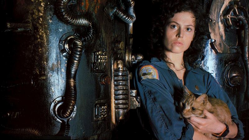 12 Times Horror Franchises Took Huge Risks With Sequels (And Regretted It)