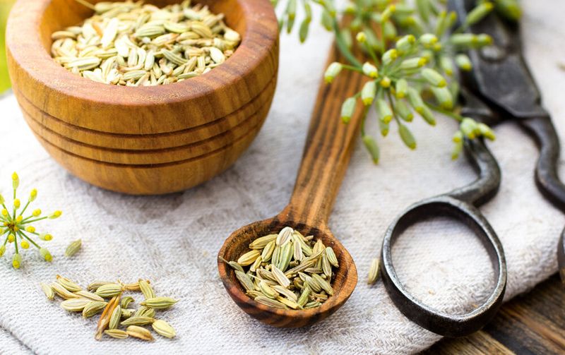 Fennel Seeds: Sweet Relief for Female Discomfort