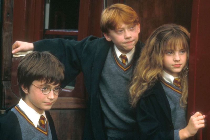 Ron Weasley and Hermione Granger — Harry Potter