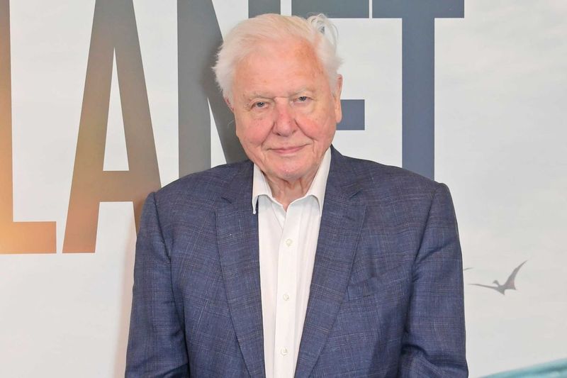 David Attenborough