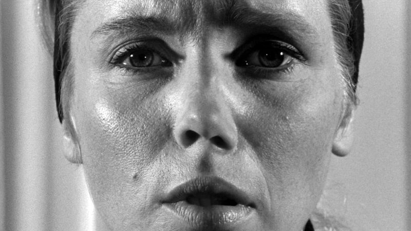 14 of the Greatest Cult Classic Films Ever Made