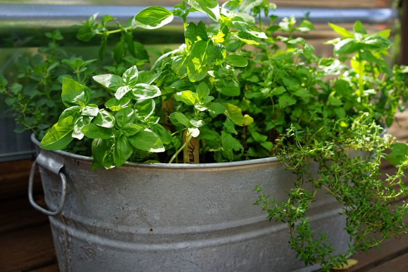Grow Simple Foods at Home