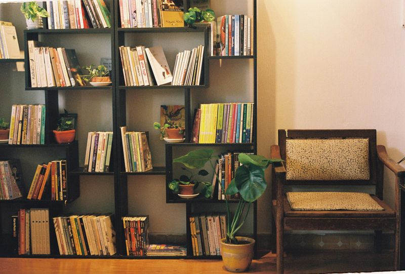 Bookshelf Styling That Invites Browsing