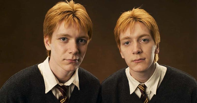 Gemini: Fred & George Weasley - The Mischievous Twins