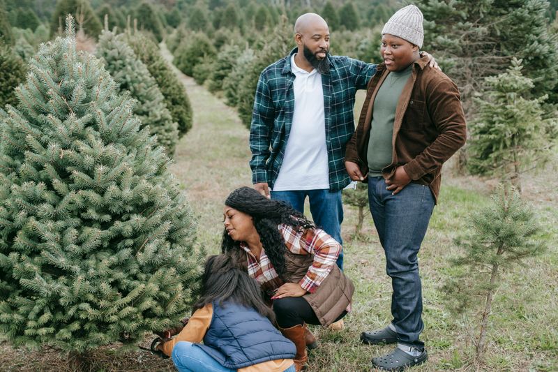 Cutting Down a Real Christmas Tree as a Family Outing