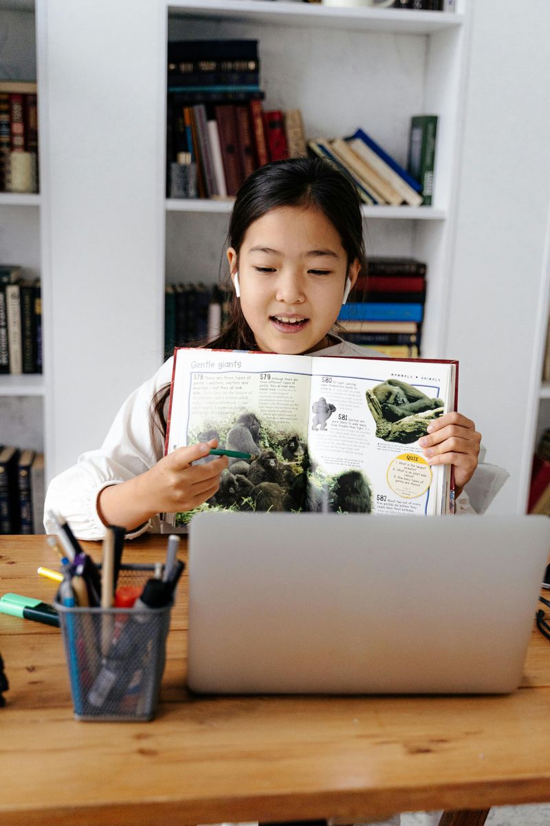 Reward Curiosity, Not Just Completion