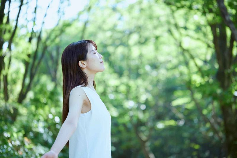 Forest Bathing Practice