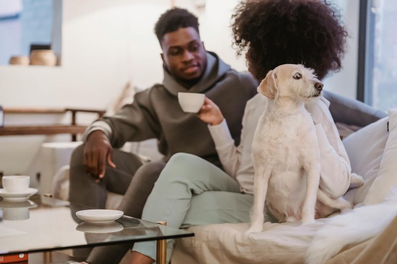 The Small Talk Rebellion