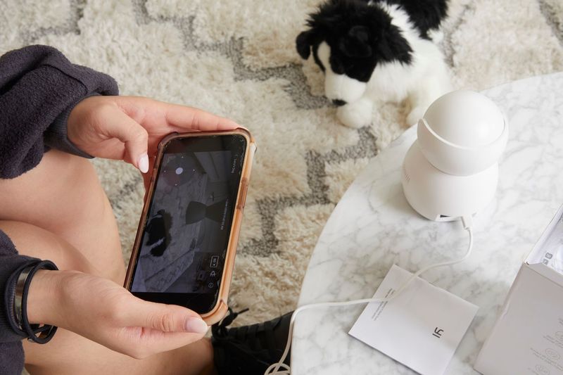Pet Product Reviewer (Remote Testing)