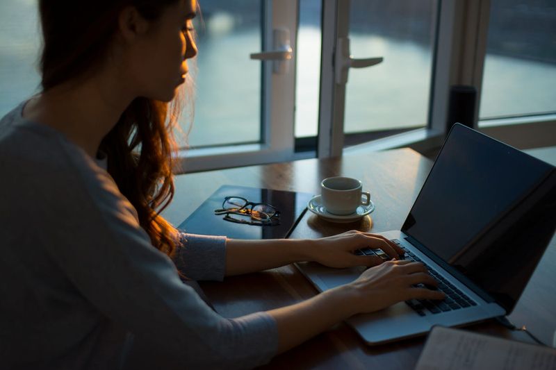 Freelance Writer