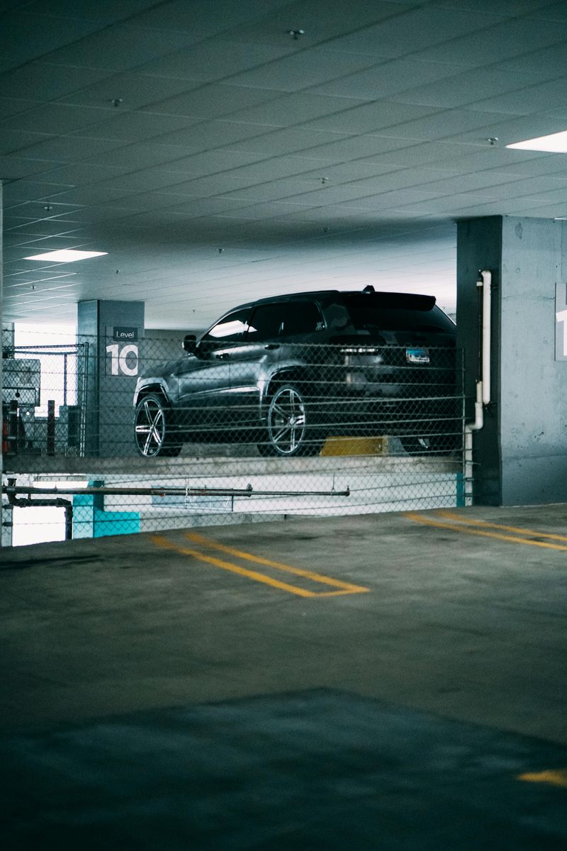 Owning Multiple Cars (Often New Ones)