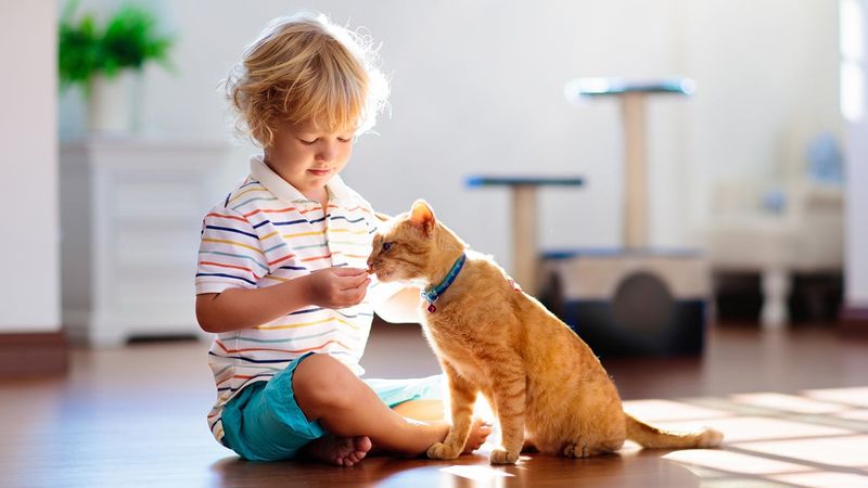 Stress Relief Comes Naturally From Animal Comfort