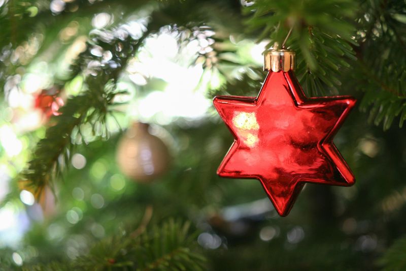 Home décor and seasonal decorations