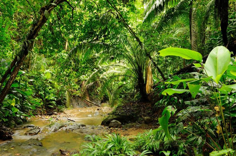Darien Gap (Colombia–Panama)