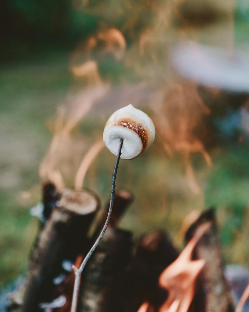 Have a Picnic—Indoors or Out