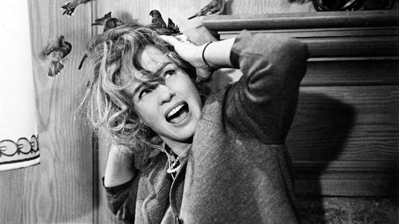 17 Iconic Movies of the 1960s That Shaped the Future of Hollywood