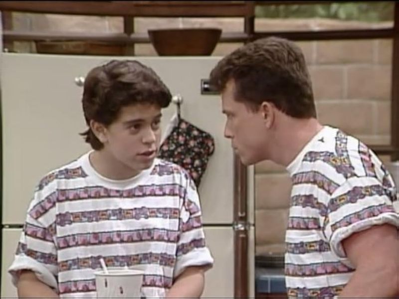 Charles in Charge (1984–1990)