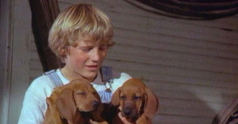 The Death of the Dog – Where the Red Fern Grows (1974)