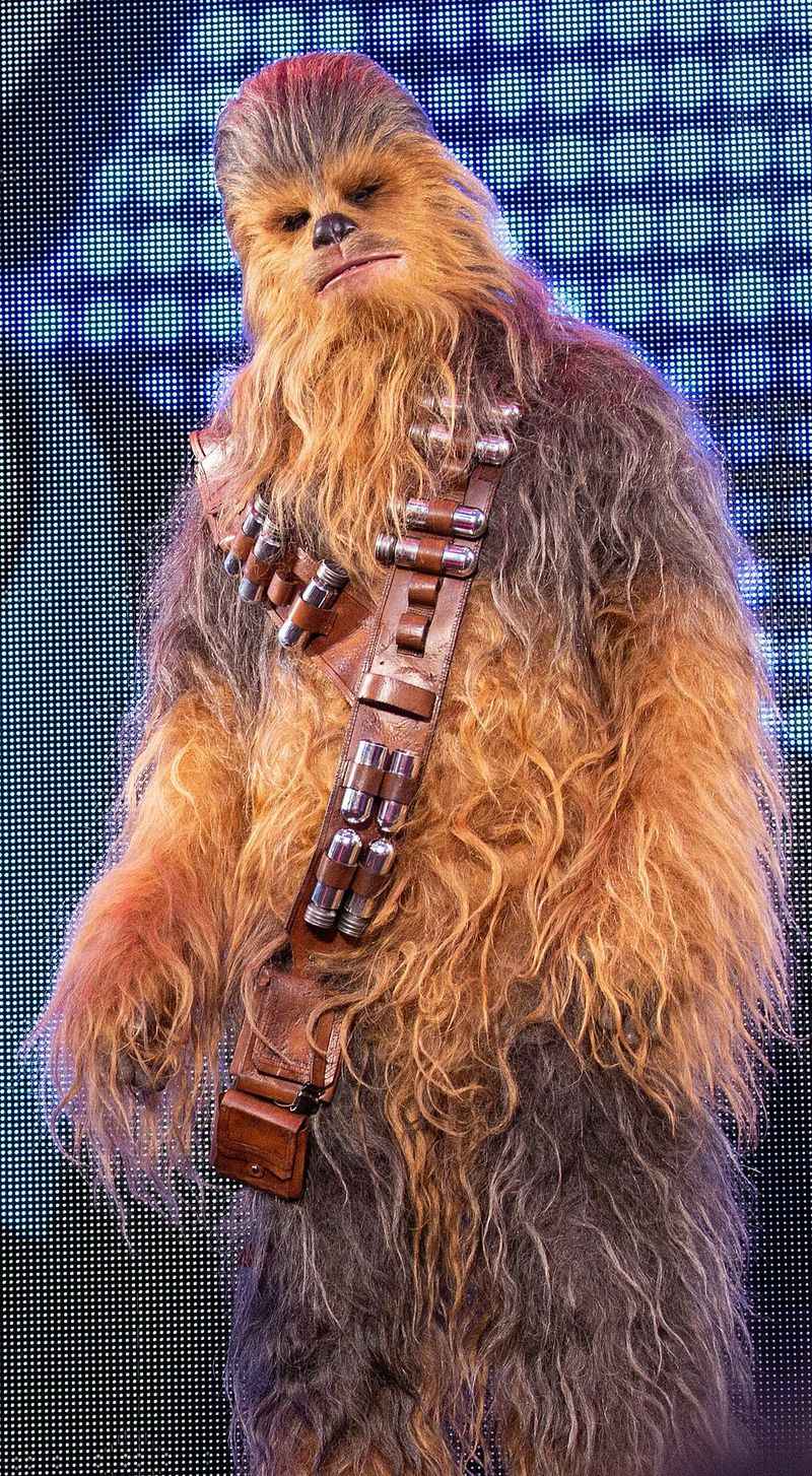 Chewbacca (Star Wars)