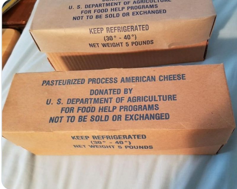 Government Cheese on Everything