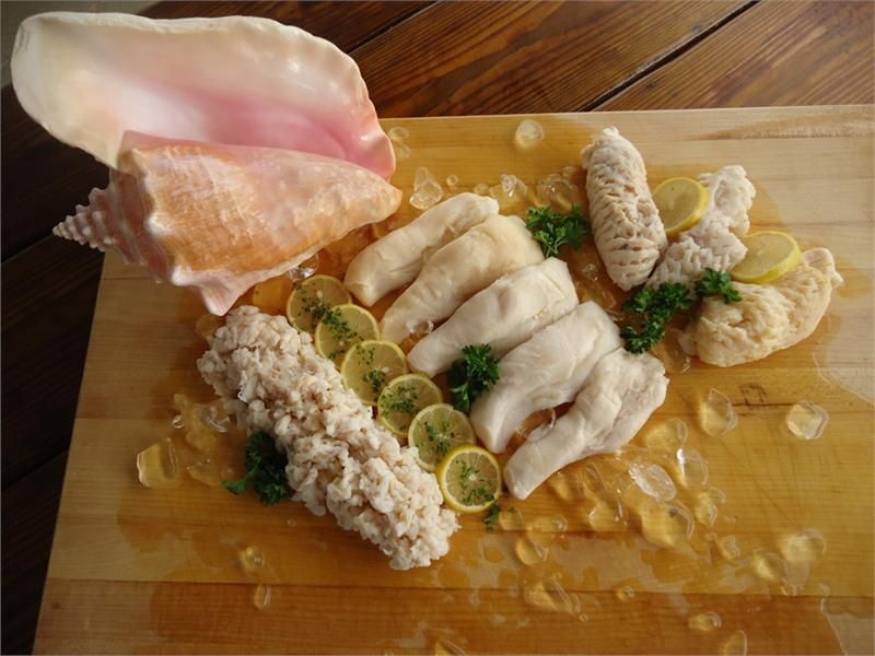 Queen Conch (Fresh or Frozen)
