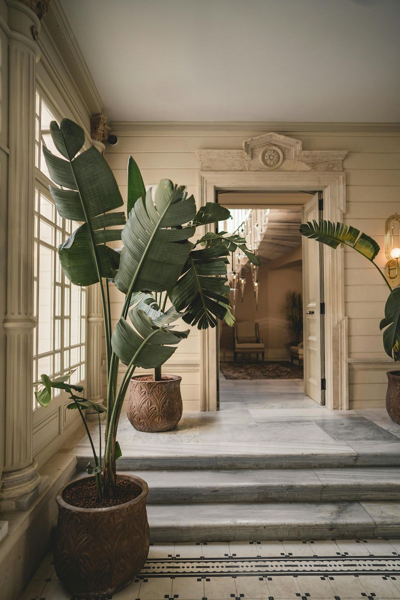 Refined Home Aesthetic