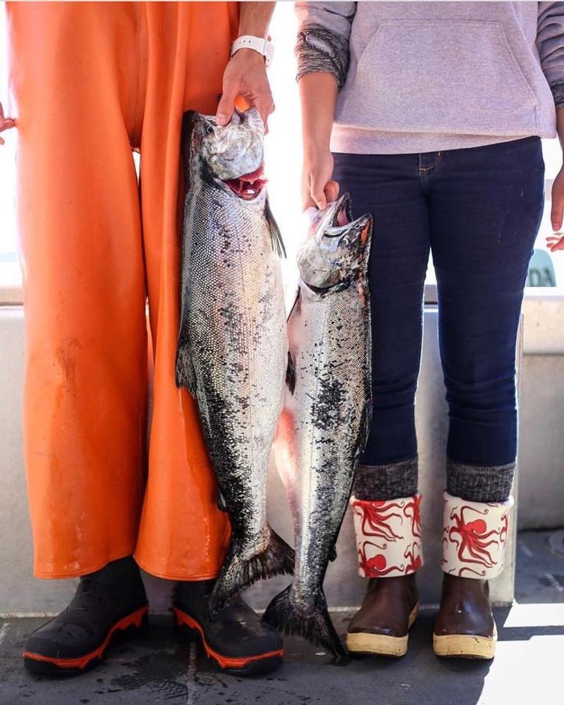 Alaska – Salmon Sisters