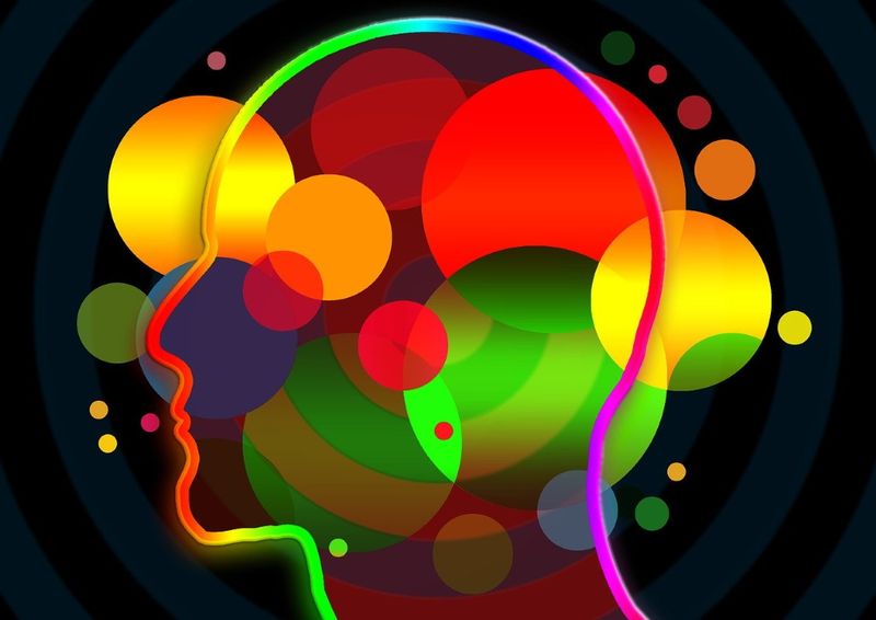 Humans have only 5 senses.