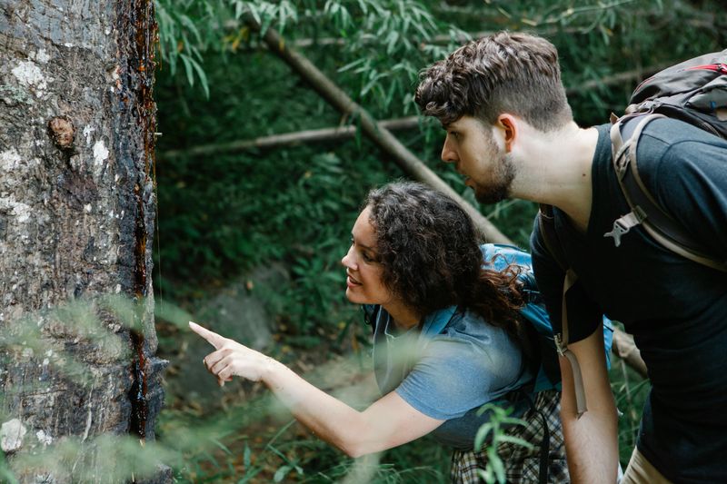 Create Shared Experiences Beyond Screens