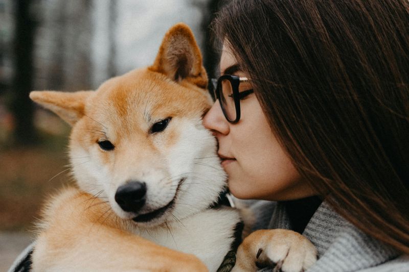 Profound Connections with Animals and Nature