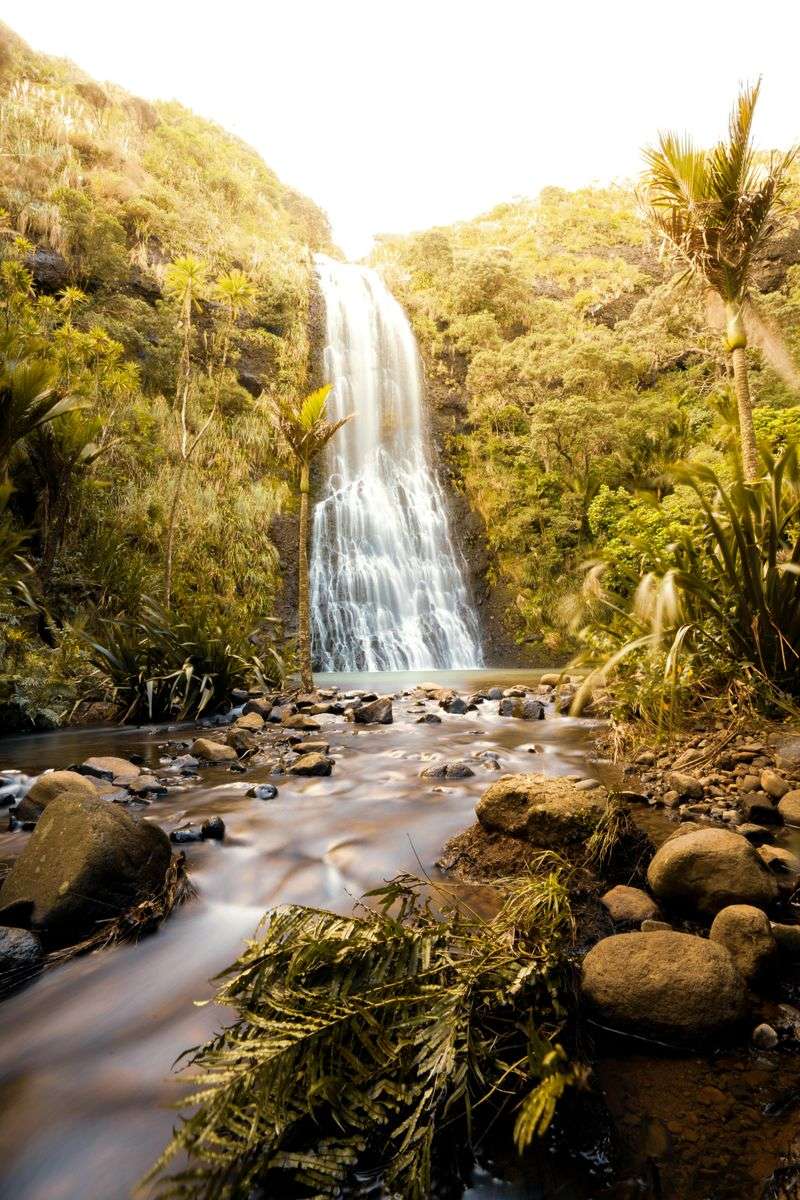 Auckland, New Zealand