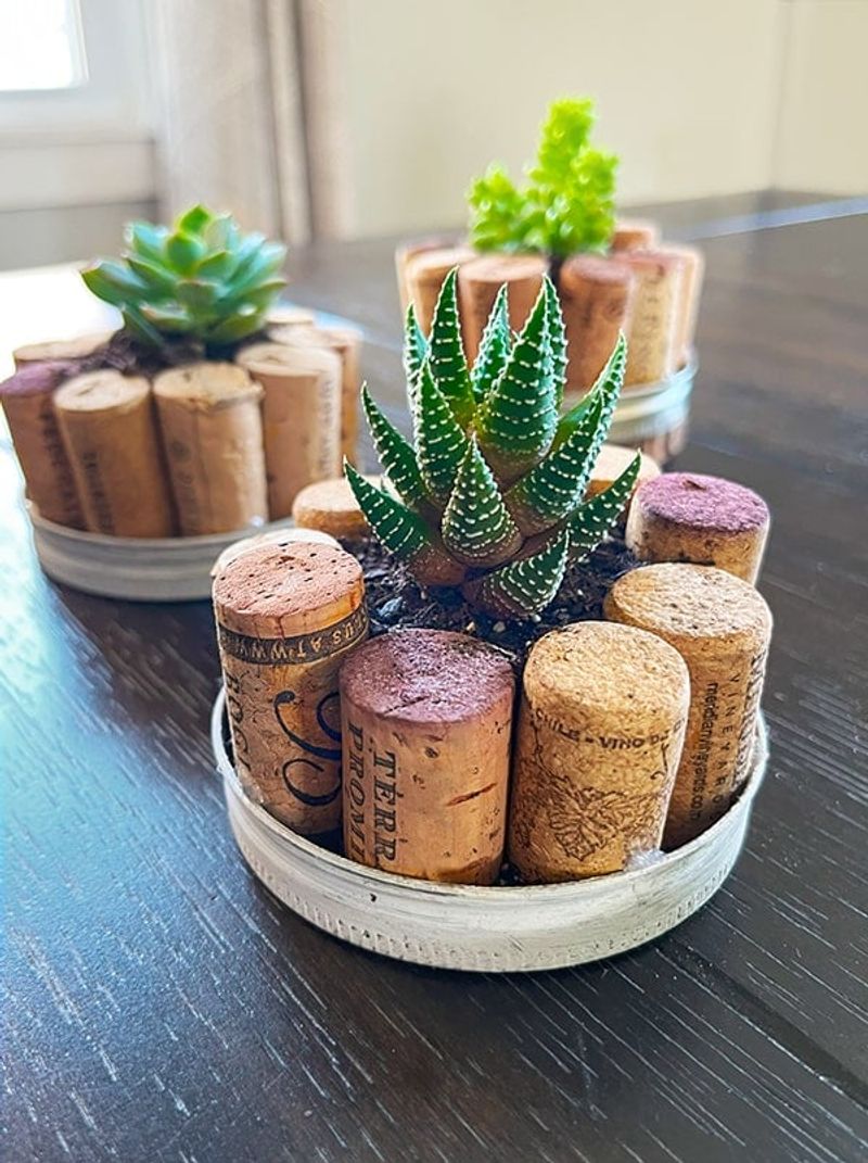 Wine Corks and Bottle Caps