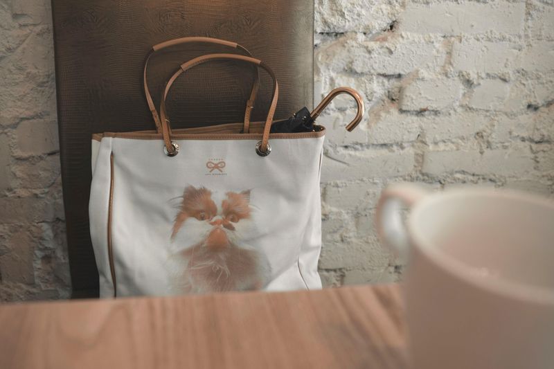 Let the Cat Out of the Bag