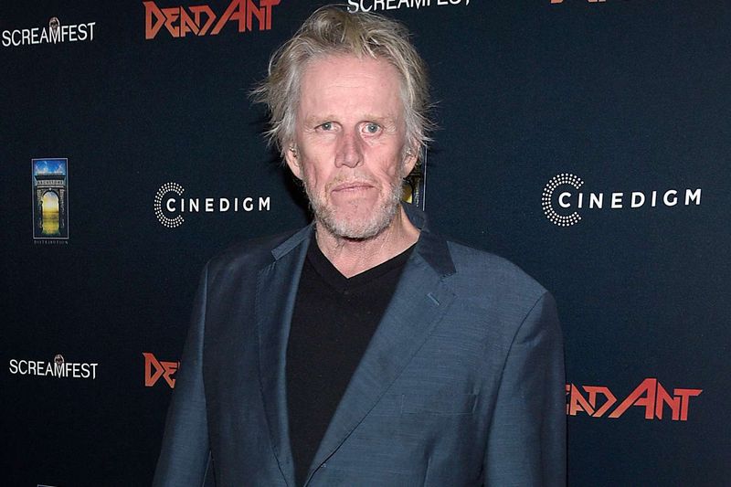 Gary Busey