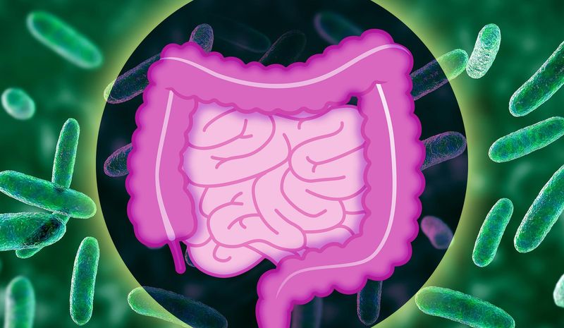 All bacteria are bad.