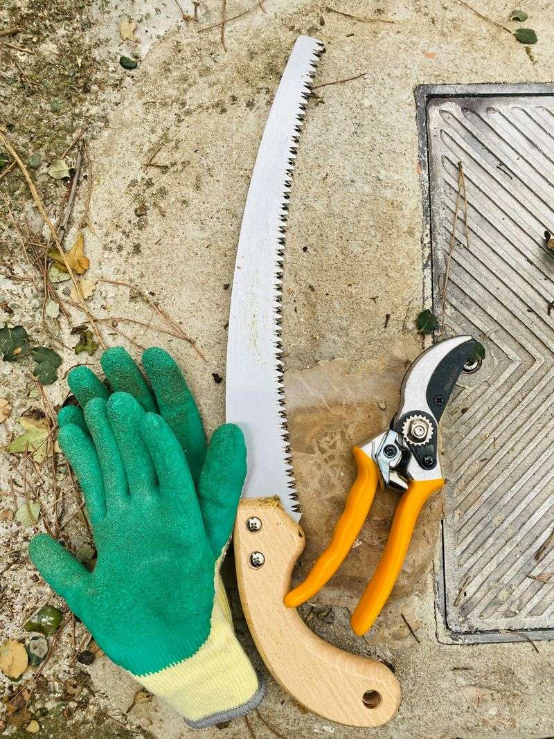 Tools + gardening gear