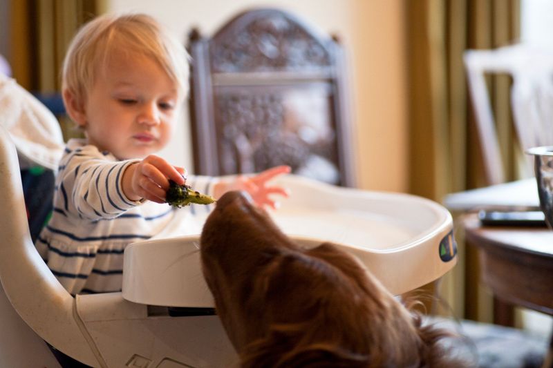 Pets Teach Kids Responsibility Like Nothing Else Can