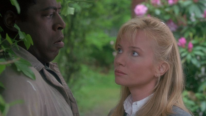 The Hand That Rocks the Cradle (1992)