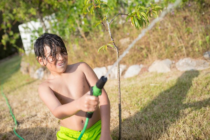 Drinking From Garden Hoses