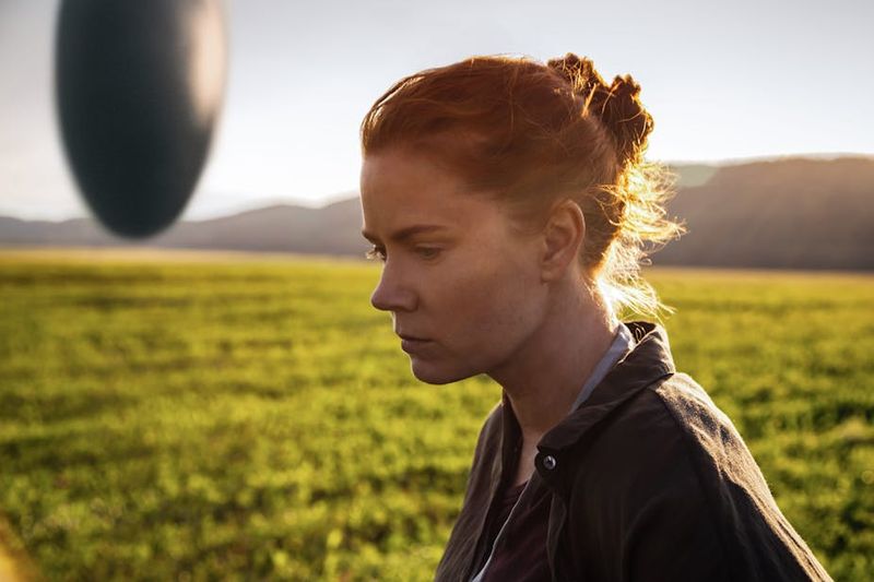 Arrival's Time Perception Twist