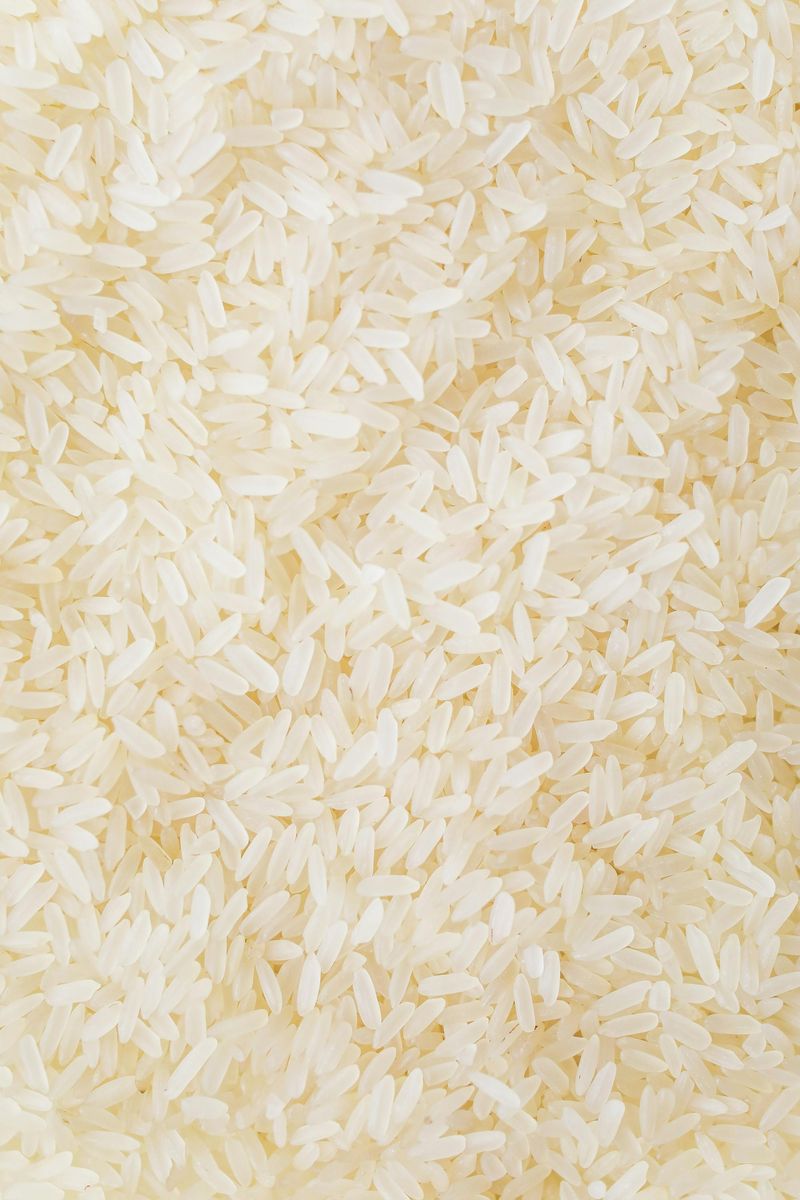 White Rice: The Grain That Fed Empires
