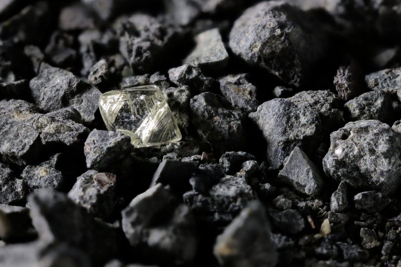 Diamonds are made from coal.
